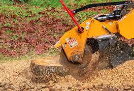 Best Tree Cabling and Bracing  in Tularosa, NM