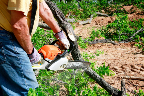 Best Lawn Drainage Solutions  in Tularosa, NM